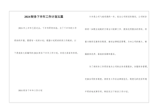 2024财务下半年工作计划五篇