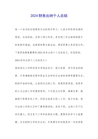 2024财务出纳个人总结-
