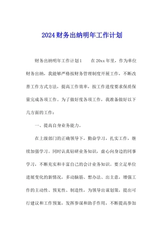2024财务出纳明年工作计划