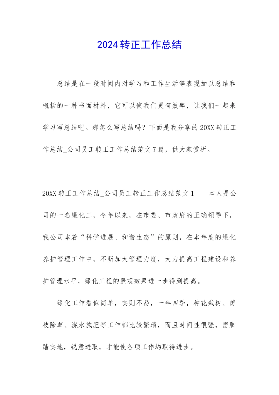 2024转正工作总结_第1页