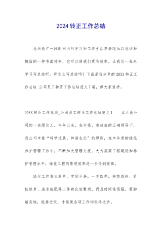 2024转正工作总结