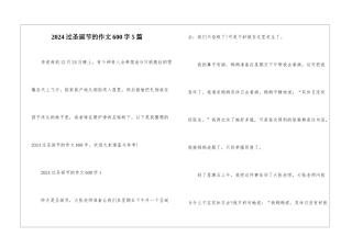 2024过圣诞节的作文600字5篇