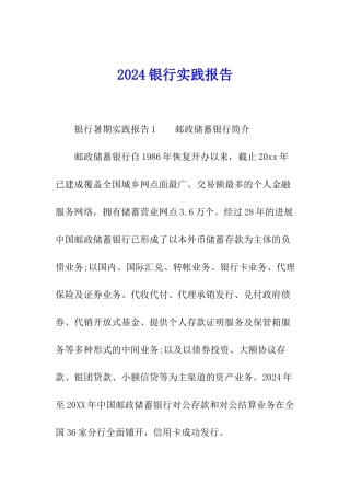 2024银行实践报告
