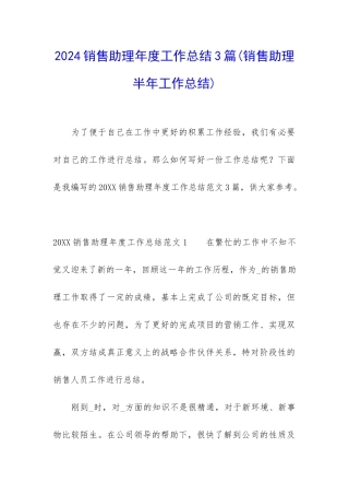 2024销售助理年度工作总结3篇
