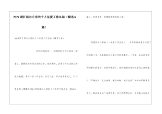 2024项目部办公室的个人年度工作总结