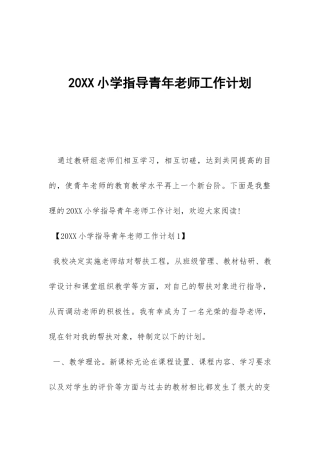 20XX小学指导青年教师工作计划-
