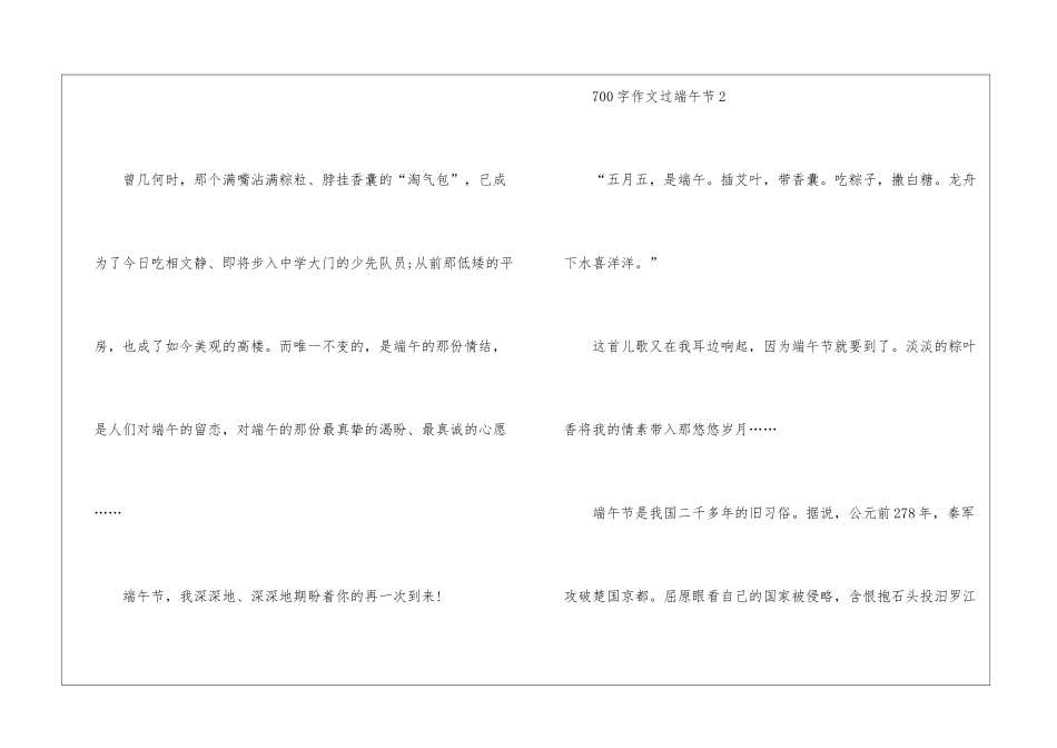 700字作文过端午节5篇_第3页