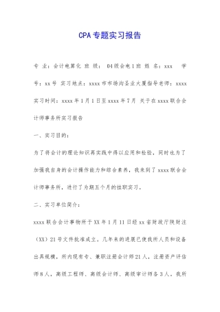 CPA专题实习报告-