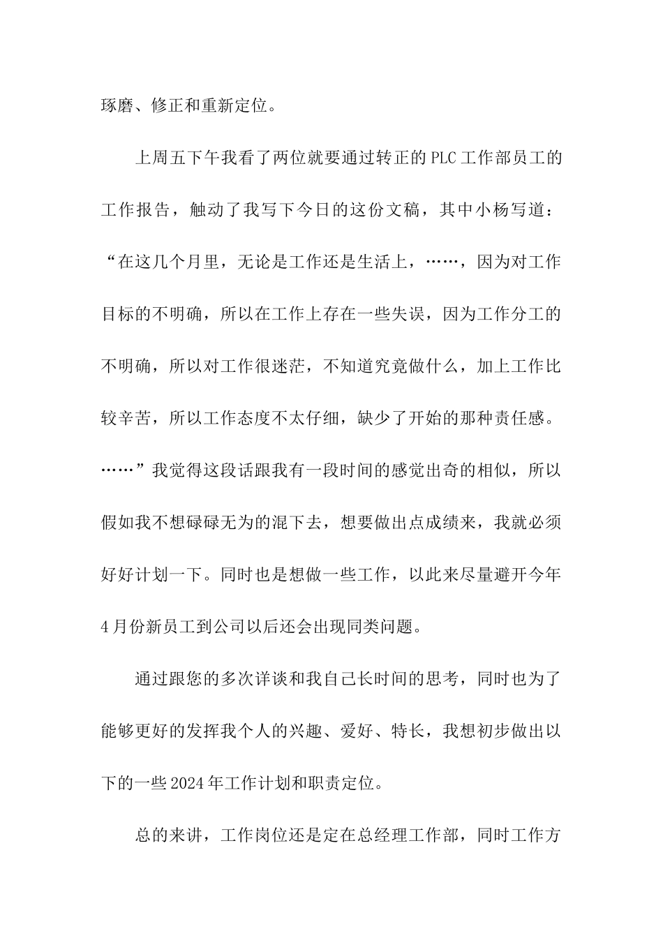 it个人工作计划书_第3页