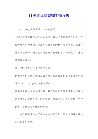 IT全面风险管理工作报告-