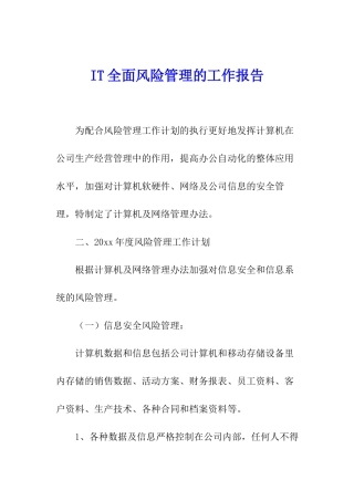 IT全面风险管理的工作报告