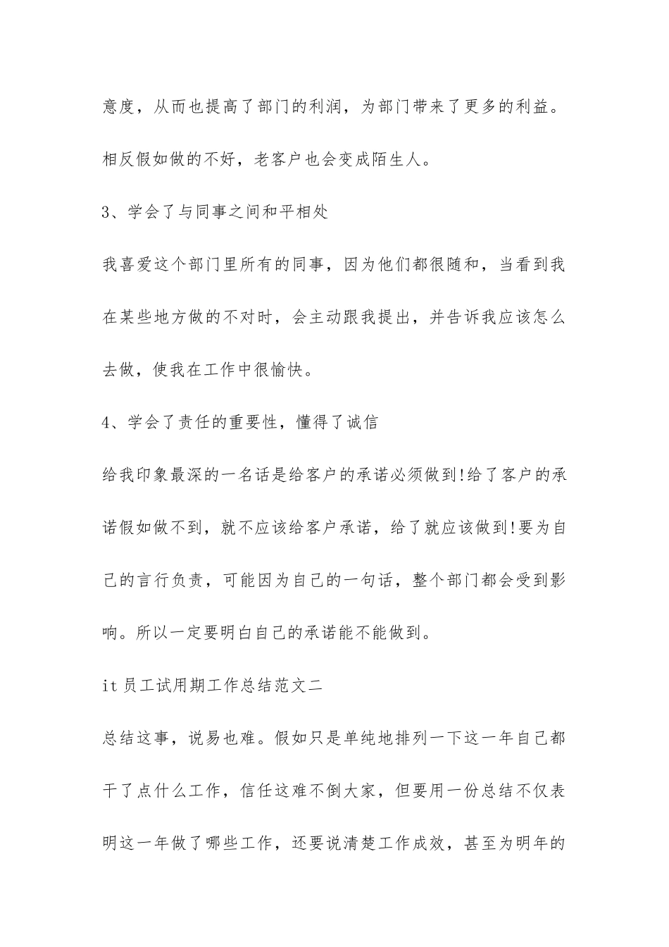 it员工试用期工作总结-_第2页