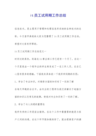it员工试用期工作总结-