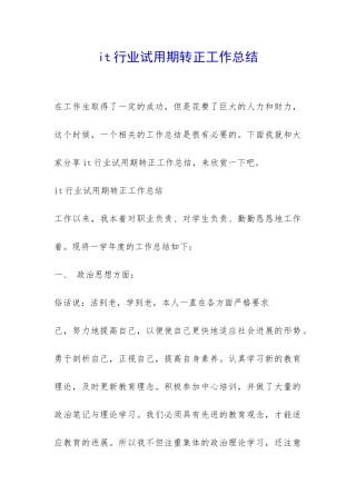 it行业试用期转正工作总结-