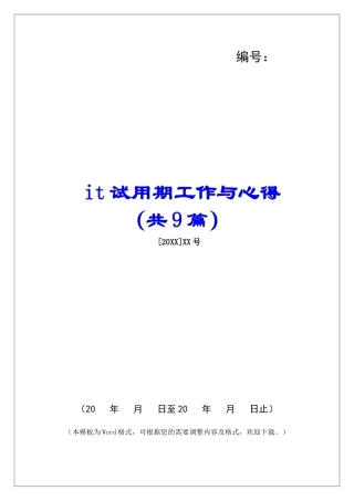 it试用期工作与心得-