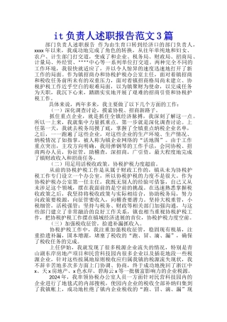 it负责人述职报告范文3篇