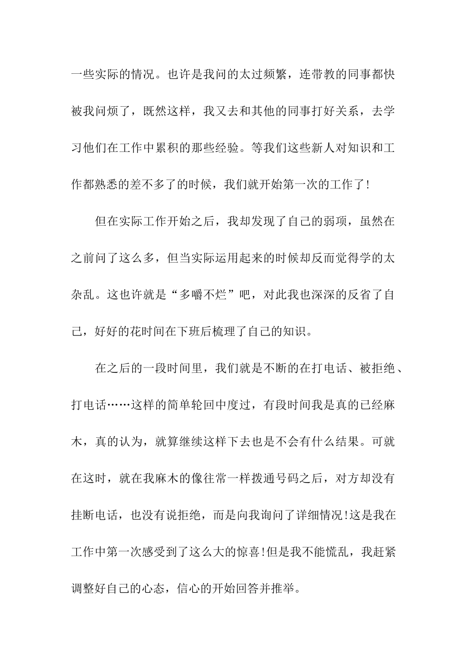 IT销售年终总结_第2页