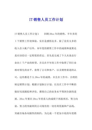 IT销售人员工作计划
