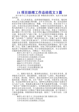 it项目助理工作总结范文3篇