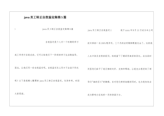 java员工转正自我鉴定集锦5篇