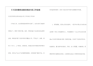 XX区农委农业综合执法大队工作总结