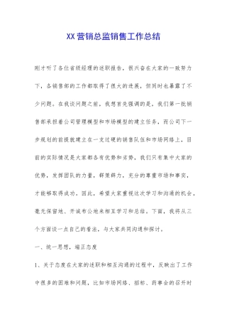 XX营销总监销售工作总结-