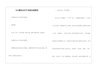 XX镇安全生产自检自查报告