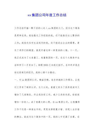 xx集团公司年度工作总结-