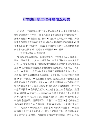 X市统计局工作开展情况报告