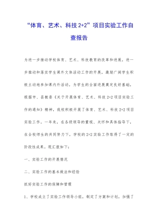 “体育、艺术、科技2+2”项目实验工作自查报告-