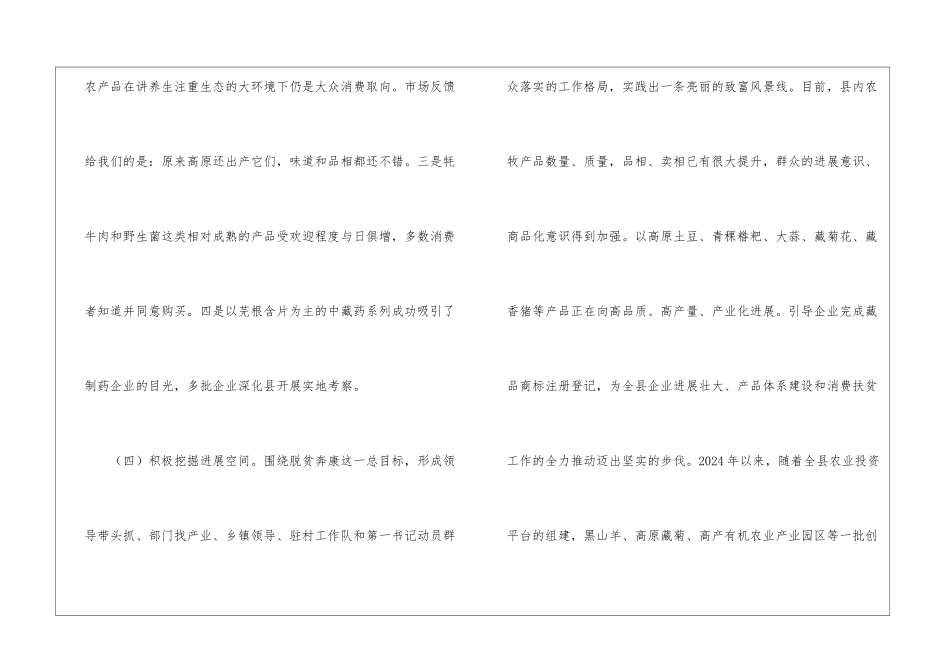 “十三五”脱贫攻坚战略述职报告_第3页