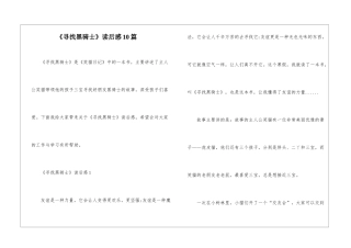 《寻找黑骑士》读后感10篇