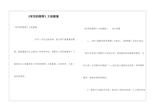 《有用的稻草》大班教案