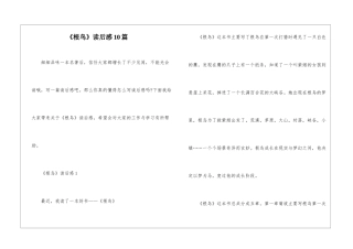 《根鸟》读后感10篇
