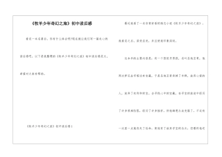 《牧羊少年奇幻之旅》初中读后感