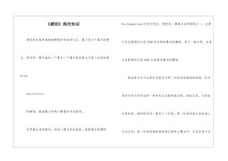 《琥珀》相关知识-