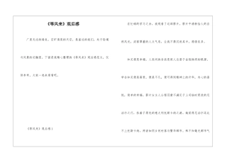 《等风来》观后感
