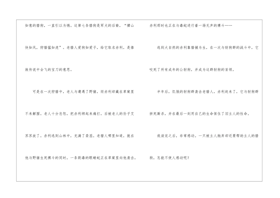 《第猎狗》读后感_第3页