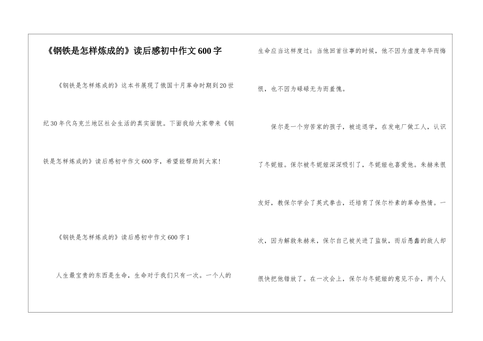 《钢铁是怎样炼成的》读后感初中作文600字_第1页