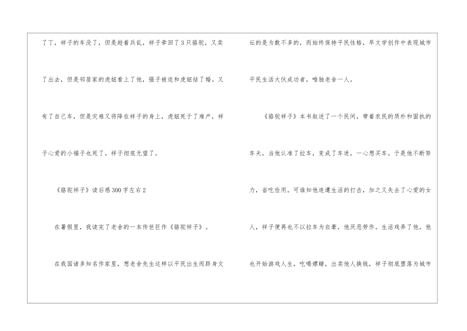 《骆驼祥子》读后感300字左右_第2页