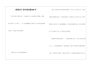 《高老头》初中读后感800字