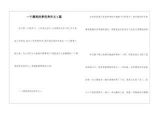 一个美丽的梦优秀作文5篇