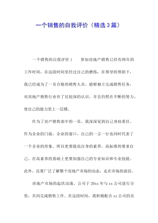 一个销售的自我评价