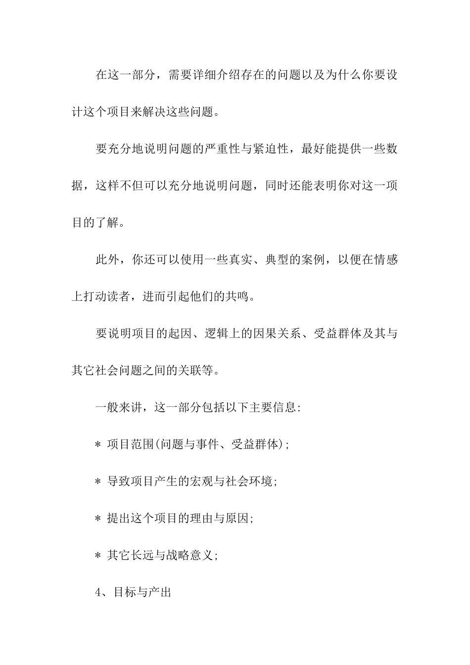 一个项目计划书格式_第3页