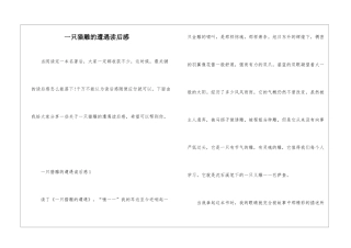 一只猎雕的遭遇读后感