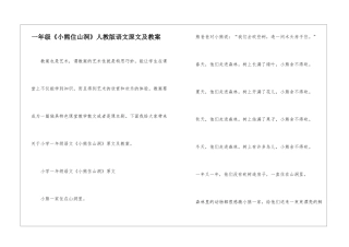 一年级《小熊住山洞》人教版语文原文及教案