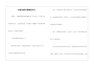 一年级田野写景物的作文