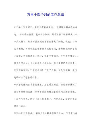 万里十四个月的工作总结-