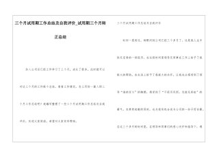 三个月试用期工作总结及自我评价试用期三个月转正总结