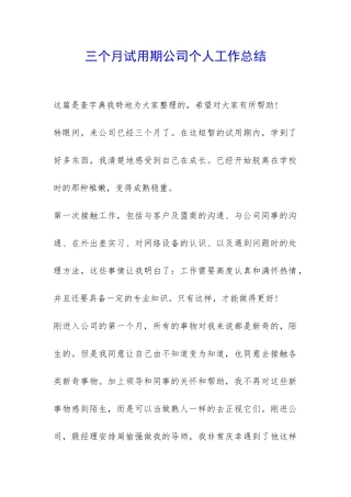 三个月试用期公司个人工作总结-